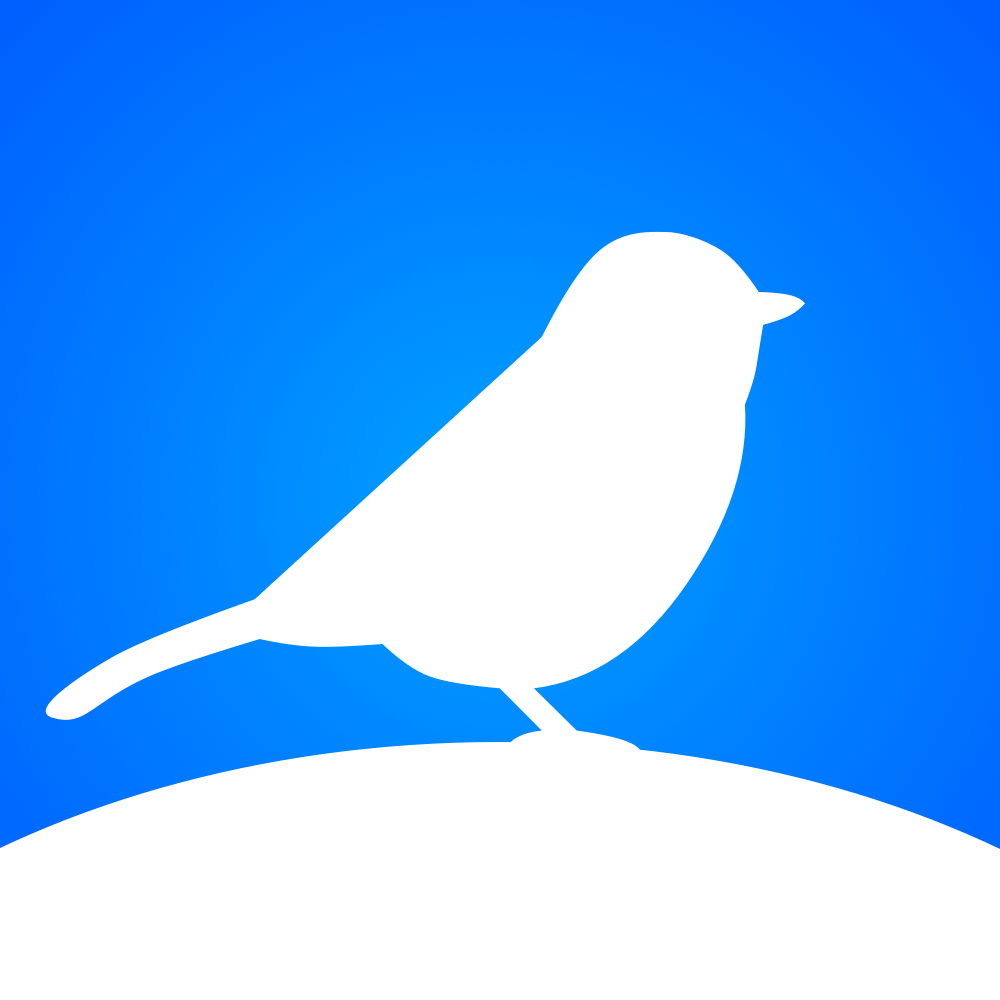 Birdy